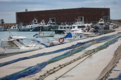 IMG_0005