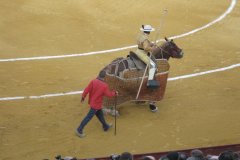IMG_4062