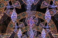IMG_3632