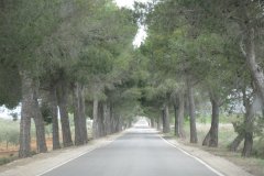 IMG_0070