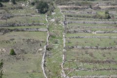IMG_4528