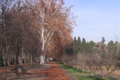 IMG_5377