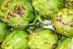 Alcapocha