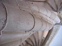 IMG_5161