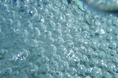 DSCF0076