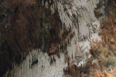 IMG_1342