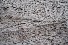 IMG_1379
