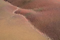 IMG_1866