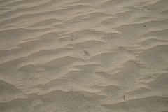 IMG_4691