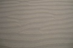 IMG_4702