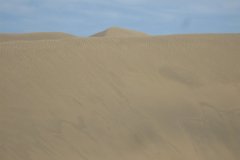 IMG_4709