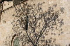 IMG_0176