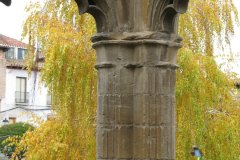 IMG_0661