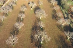 IMG_5320