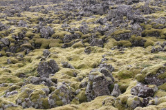 Islandia-1-378