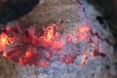 IMG_3264