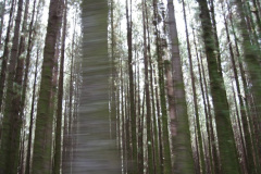 expo-bruselas-005
