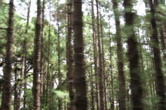 expo-bruselas-006