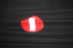 expo-bruselas-018