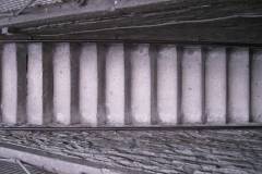 IMG_0665