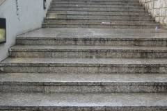 IMG_2539