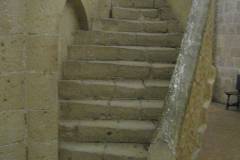 IMG_8011