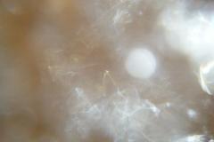 DSCF0194