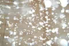 DSCF0195