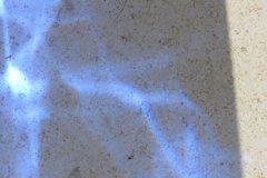 IMG_0125