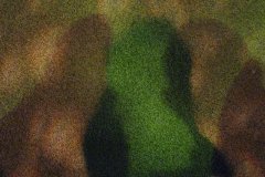 IMG_0179