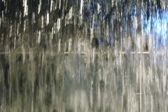 IMG_0182
