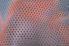 IMG_0711