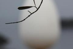 IMG_0828