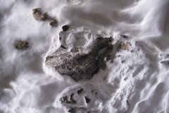 IMG_1331