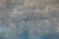 IMG_1881