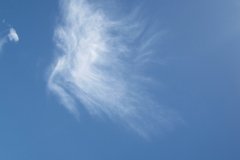 IMG_5249
