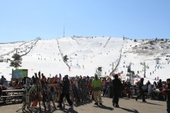 IMG_9544