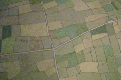 25a