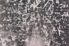 Qilqa
