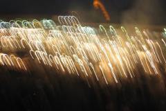 IMG_2269