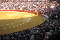 IMG_4052