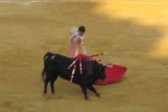 IMG_4072