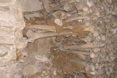 IMG_5208