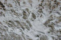 IMG_0039