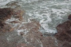 IMG_0081