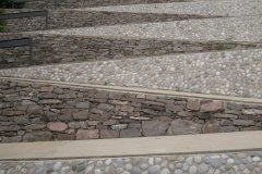 IMG_1304