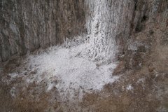 IMG_1375