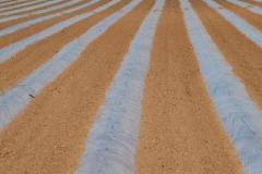 IMG_6842