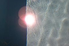 IMG_1274