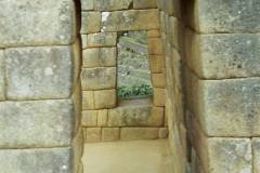 95660036